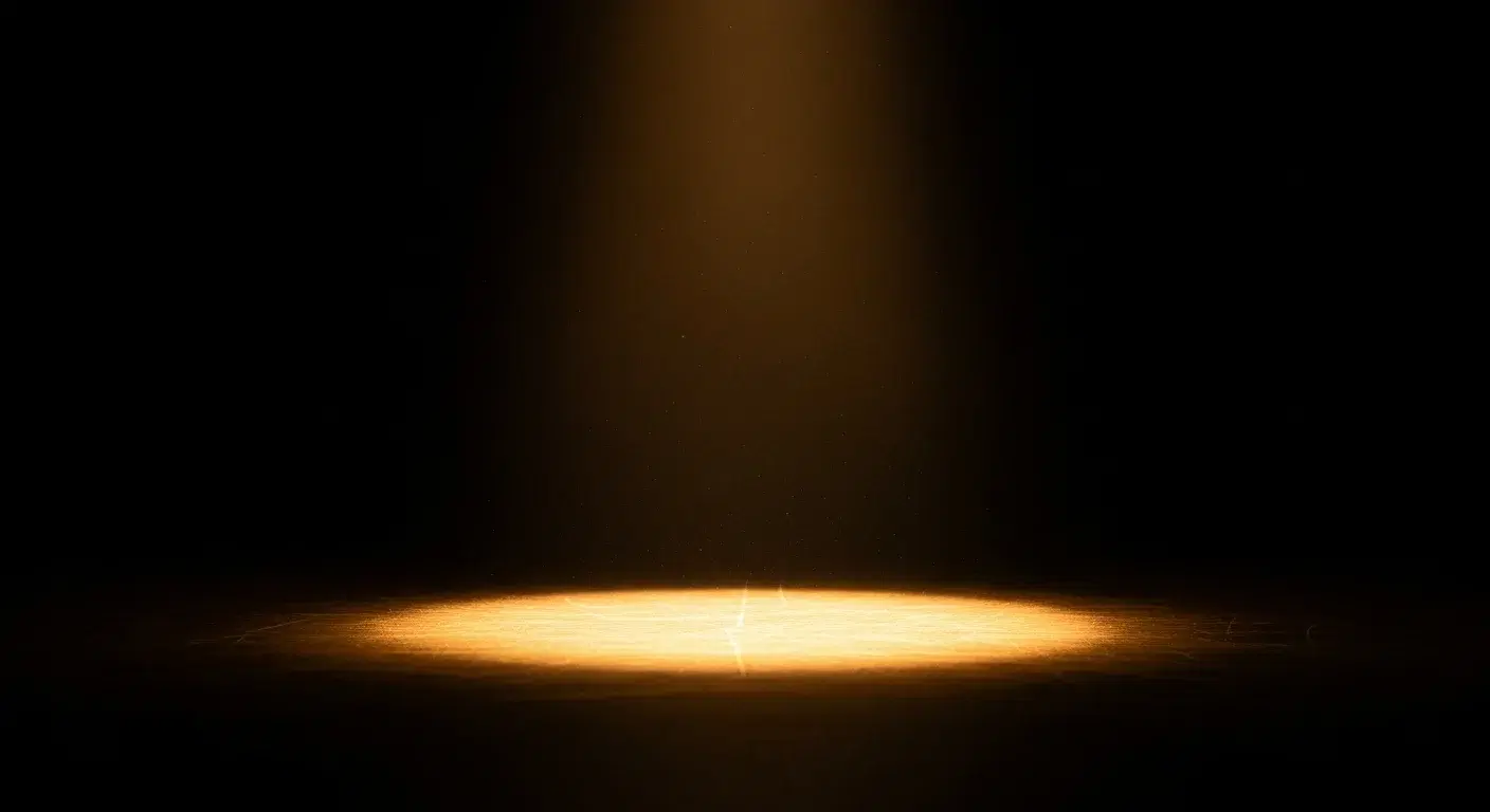 Spotlight: Languages Count